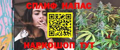 гашик Славянск-на-Кубани