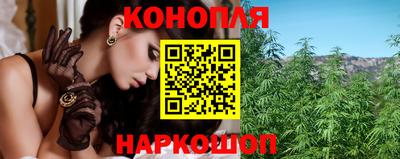 прущие крисы Будённовск